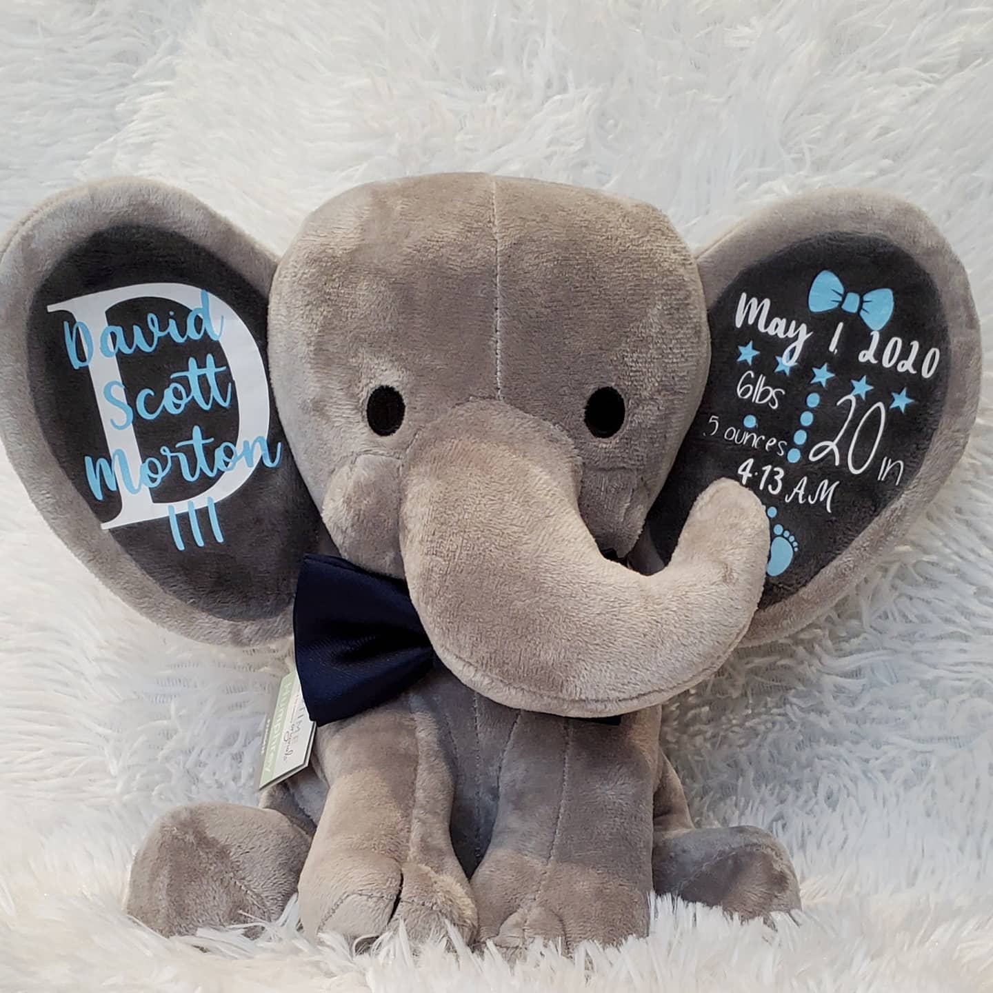 Baby/Celebratory Elephants